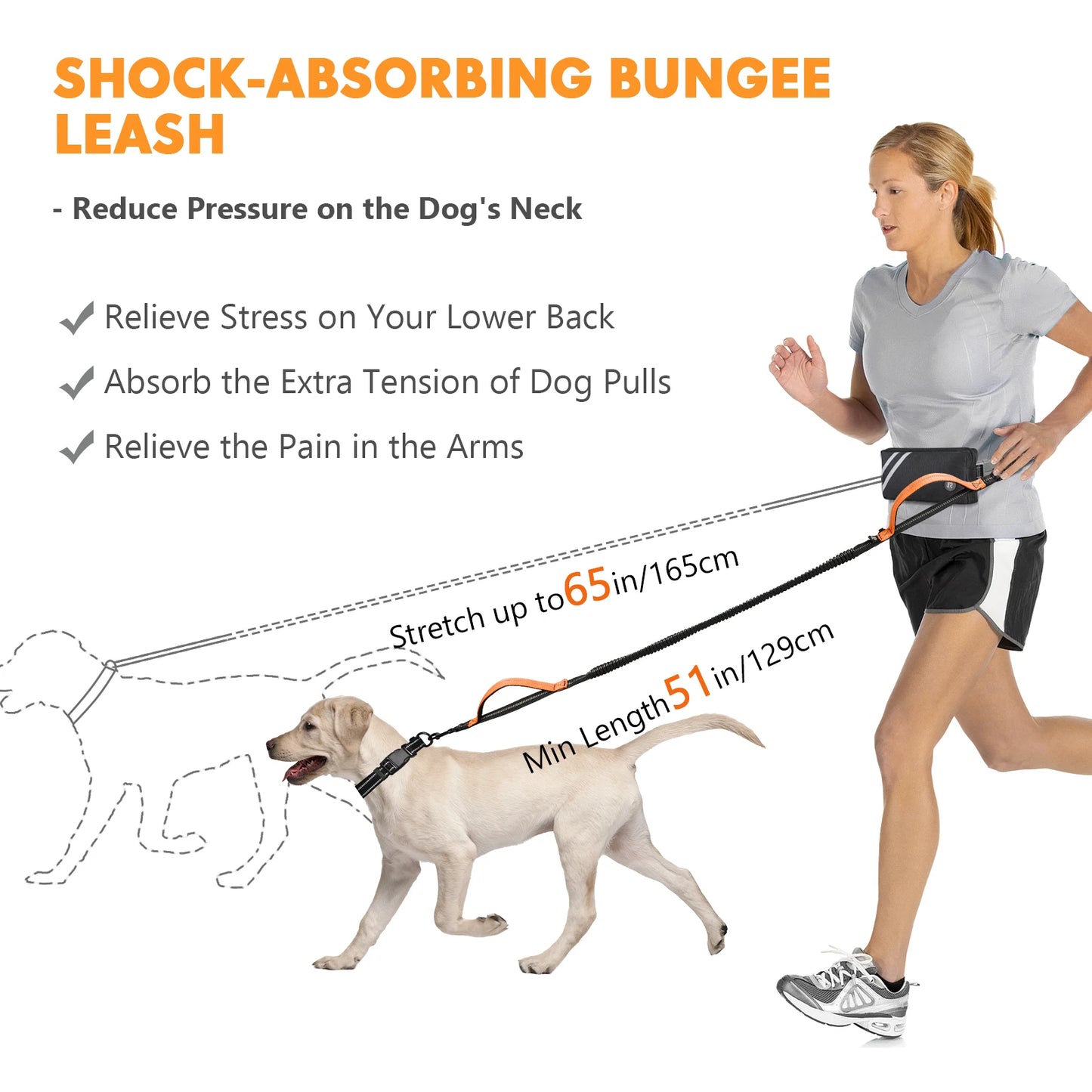 Jogging Dog Leash with Zipper Pouch
