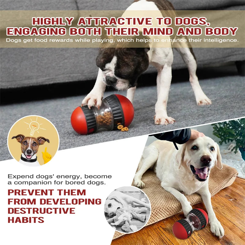 IQ Puzzle Ball for Dogs