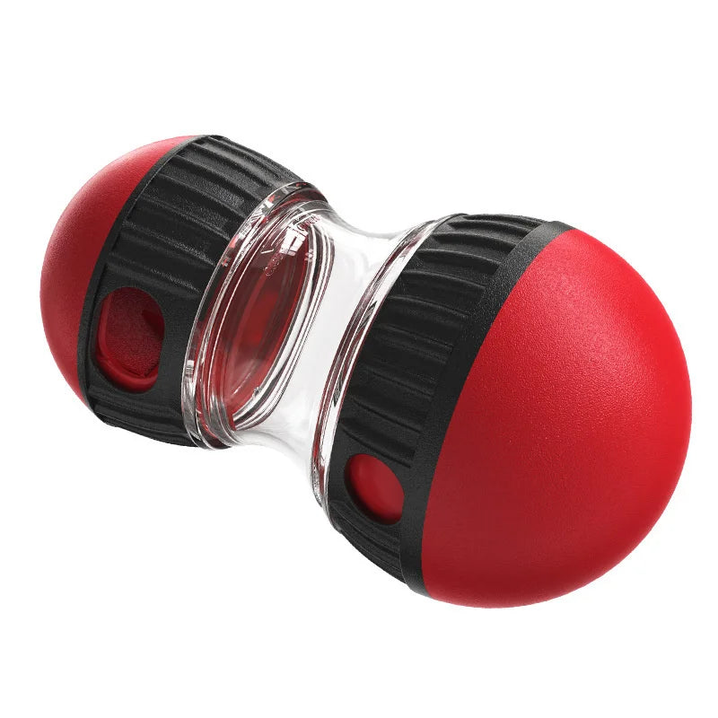 IQ Puzzle Ball for Dogs