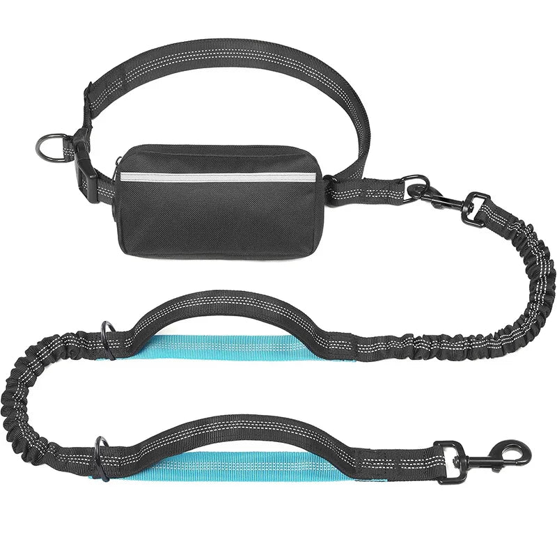 Active Dog Leash - Walk, Run, Jog Hands-Free