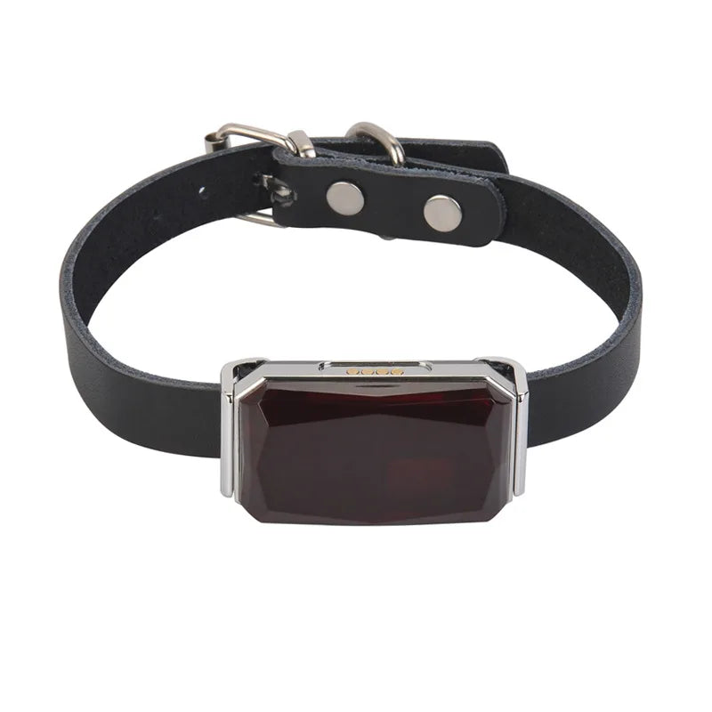 Waterproof Pet GPS Collar