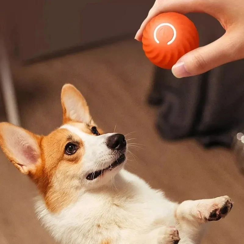 Smart Chewy Glow Ball