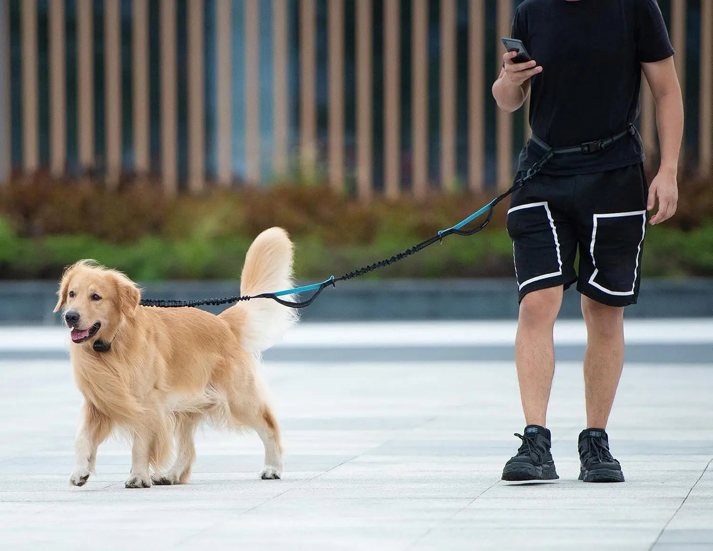 Active Dog Leash - Walk, Run, Jog Hands-Free