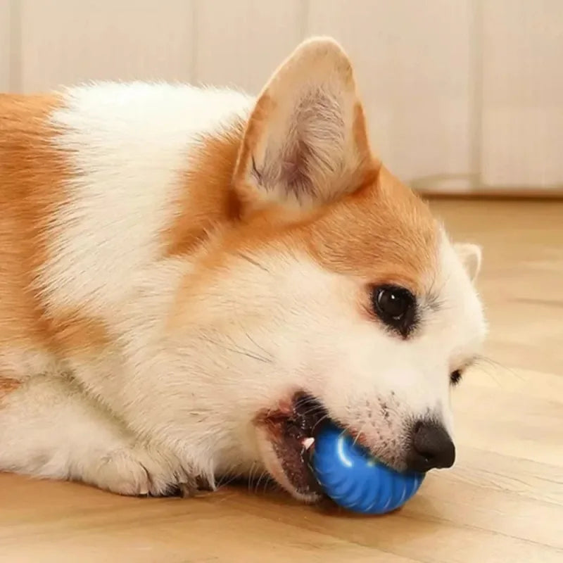 Smart Chewy Glow Ball