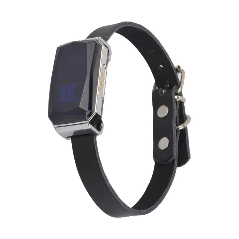 Waterproof Pet GPS Collar