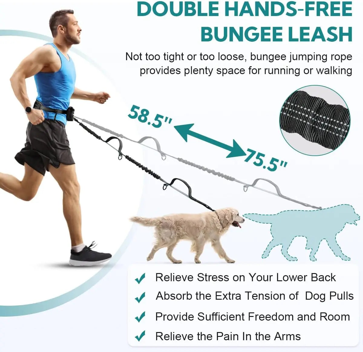 Hands-Free Double Dog Leash + Pouch