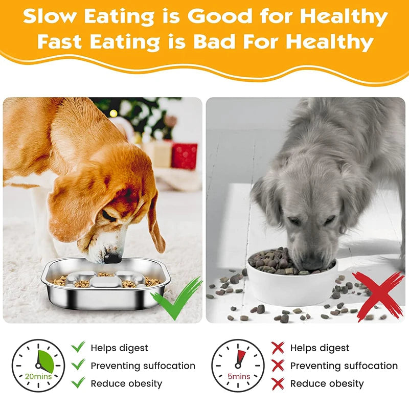 Pawfect Slow Feeder - Steel Bowl