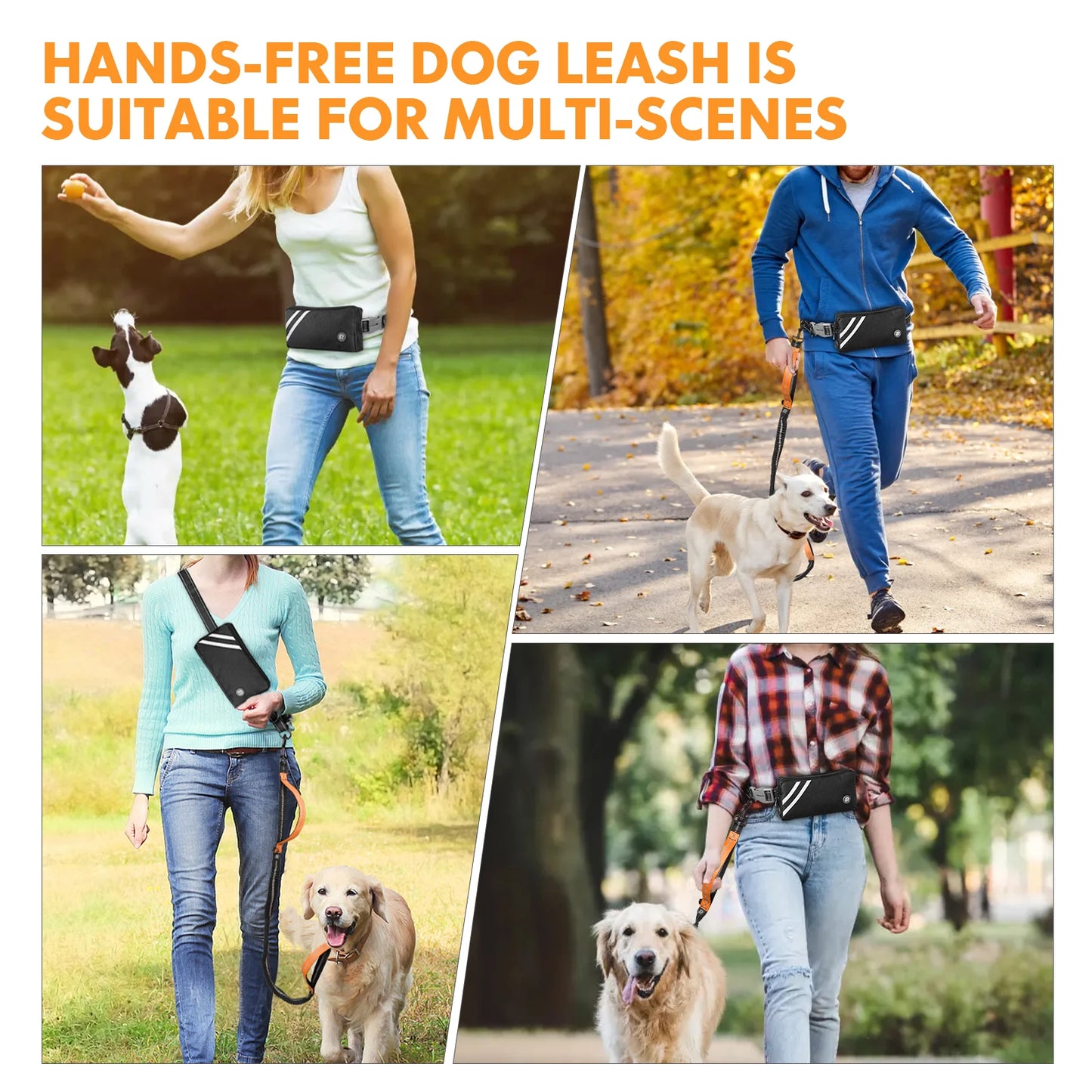 Jogging Dog Leash with Zipper Pouch