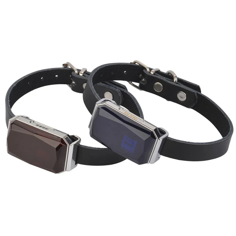 Waterproof Pet GPS Collar
