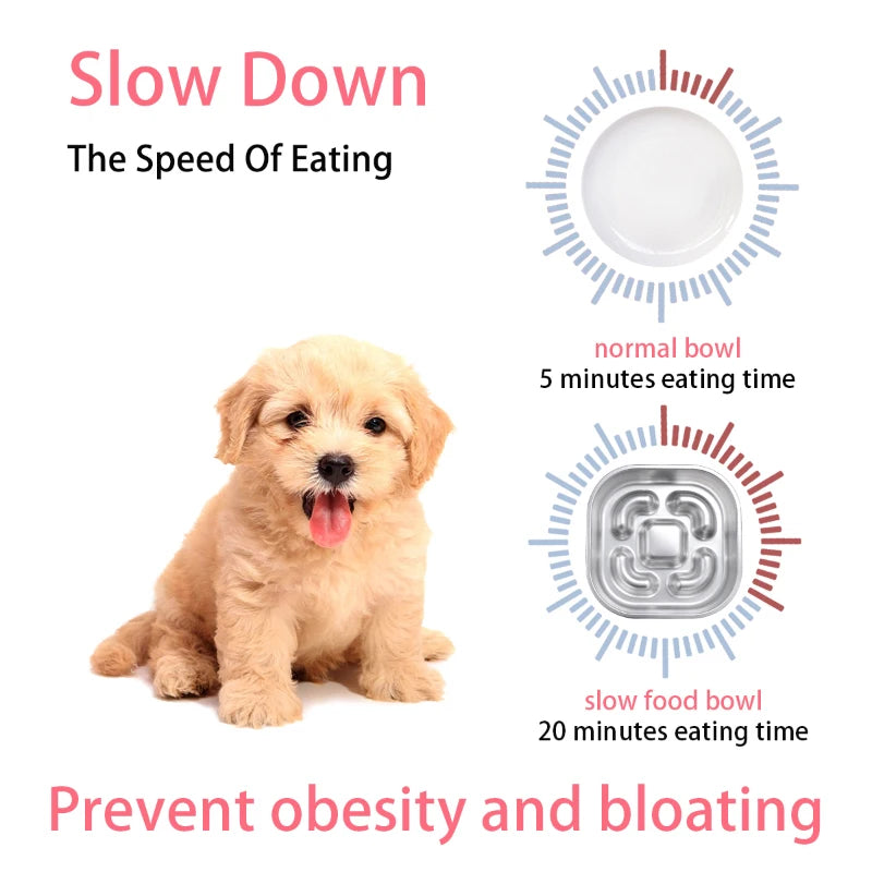 Pawfect Slow Feeder - Steel Bowl